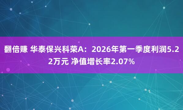 翻倍赚 华泰保兴科荣A：2026年第一季度利润5.22万元 净值增长率2.07%